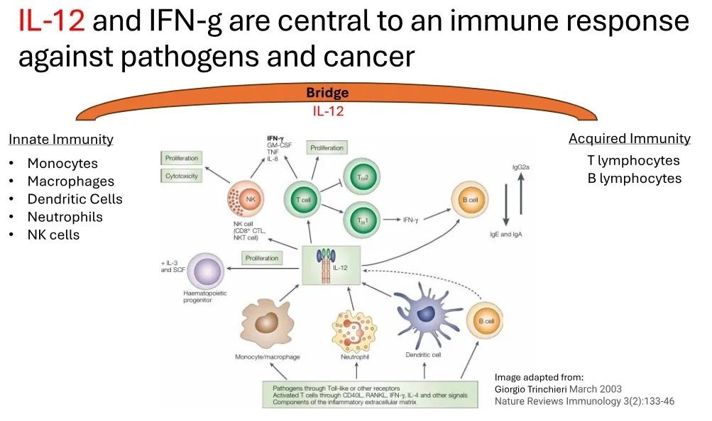 640 (1).jpg 640 (1).jpg