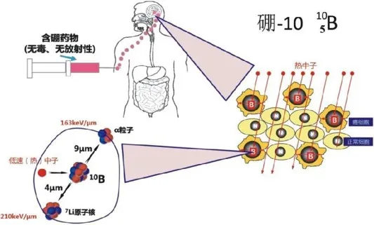 640 (4).png 640 (4).png